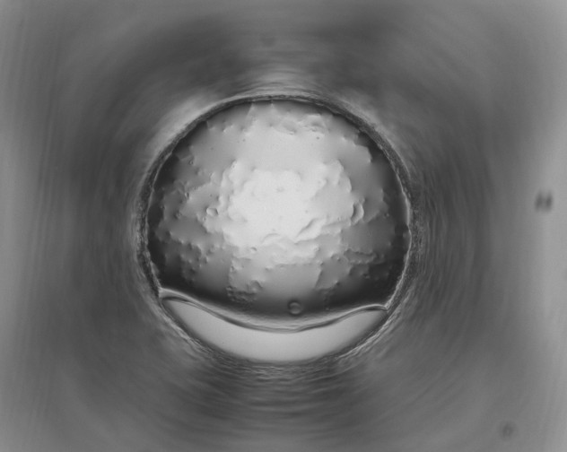 X0000097301415200802291803