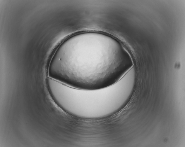 X0000097301416200802291803