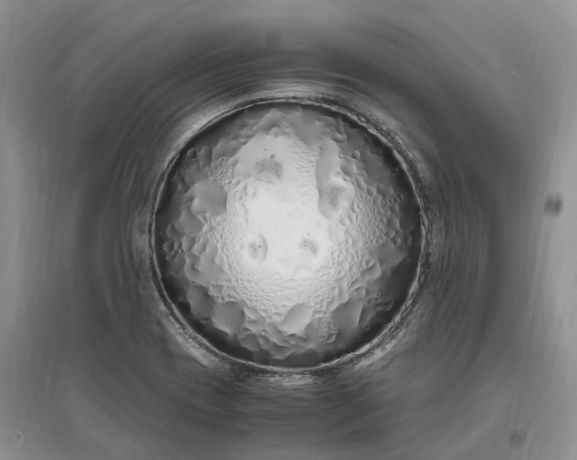 X0000097301417200802291803