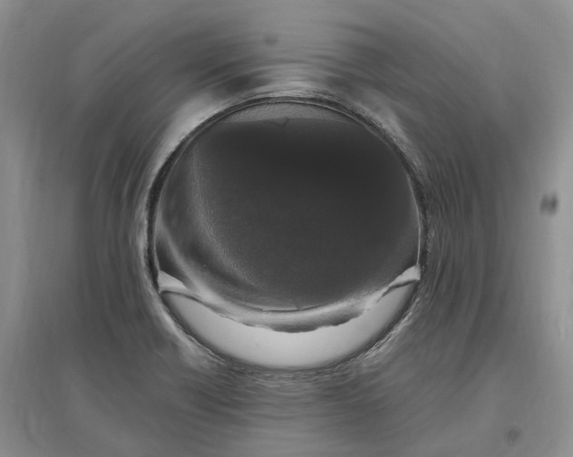 X0000097301418200802291803