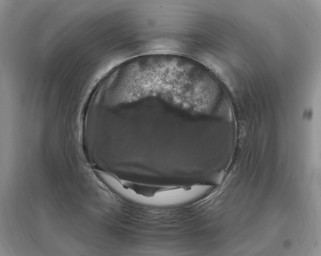 X0000097301419200802291803