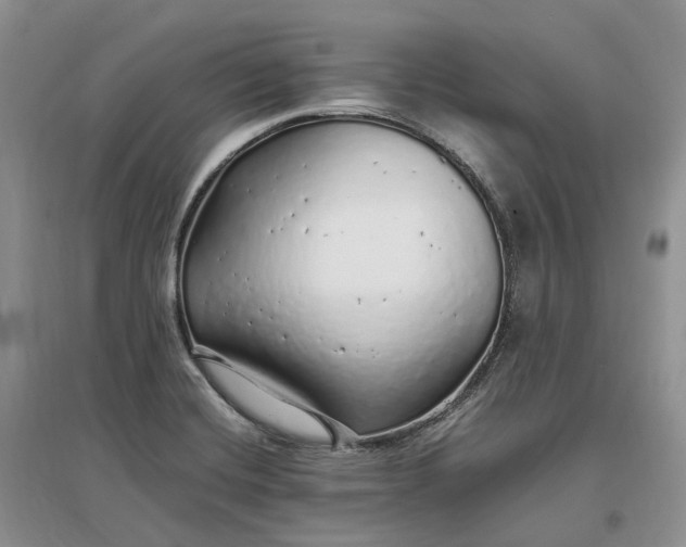 X0000097301420200802291803