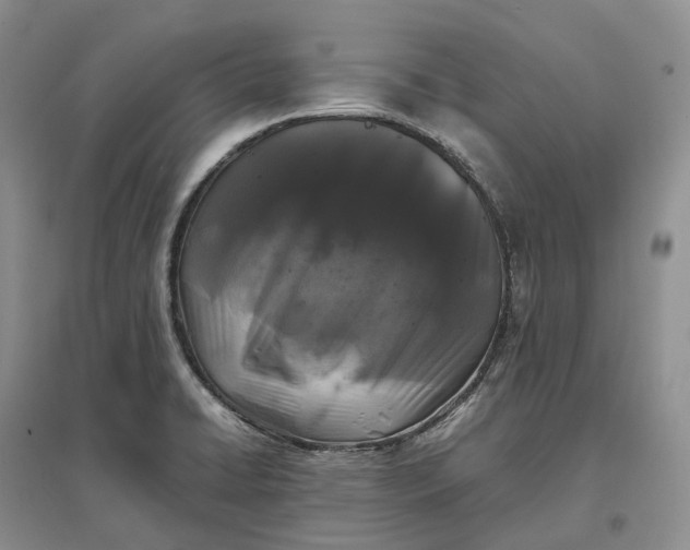 X0000097301422200802291803