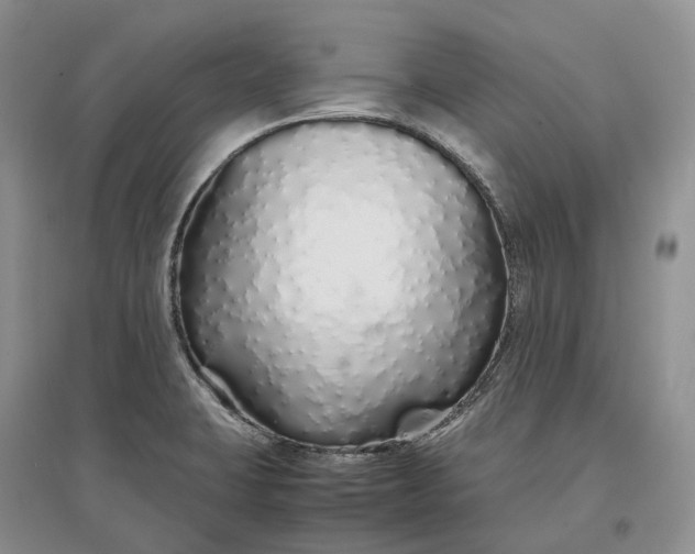 X0000097301423200802291803