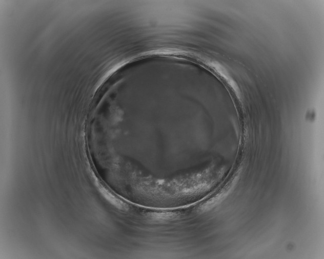 X0000097301425200802291803