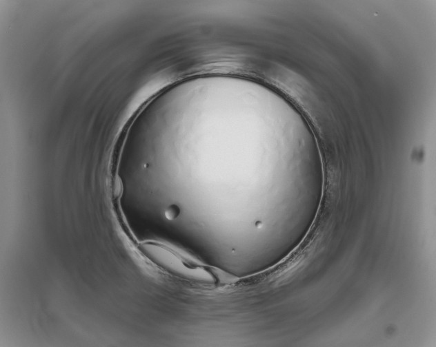 X0000097301426200802291803