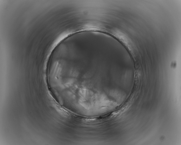 X0000097301427200802291803