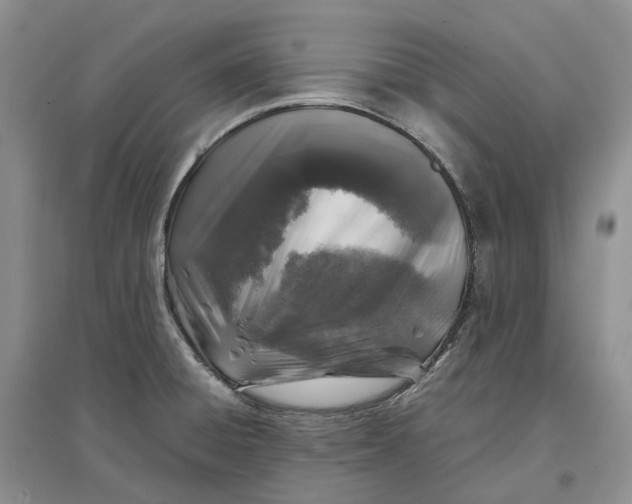 X0000097301428200802291803