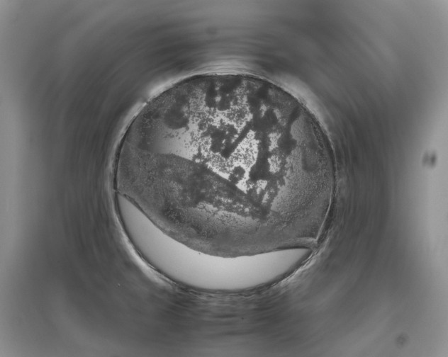 X0000097301429200802291803