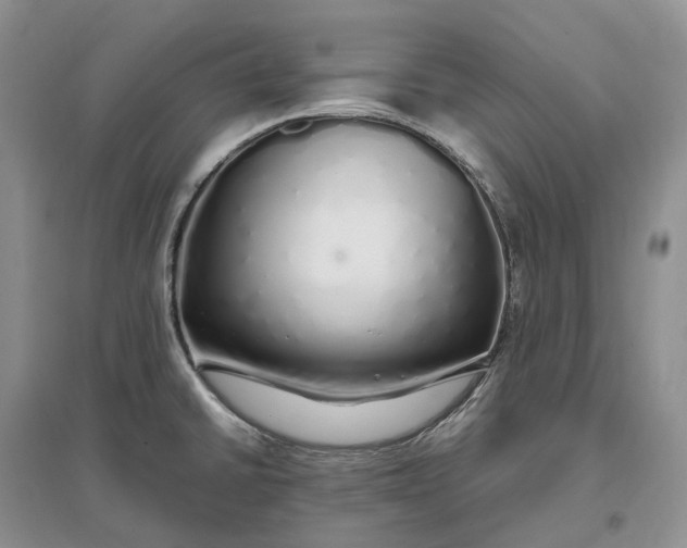 X0000097301430200802291803