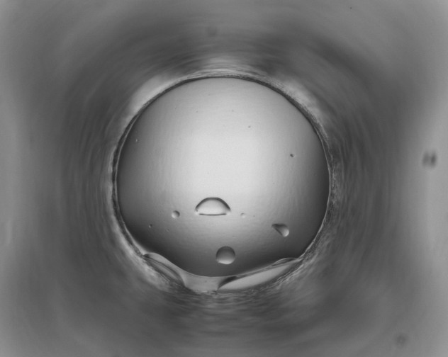 X0000097301431200802291804