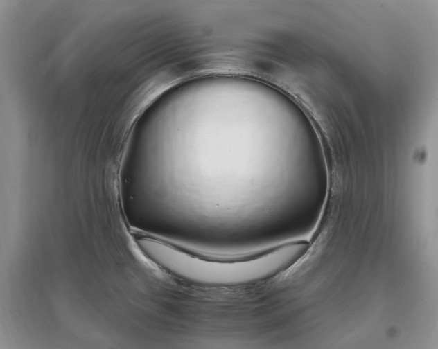 X0000097301433200802291804