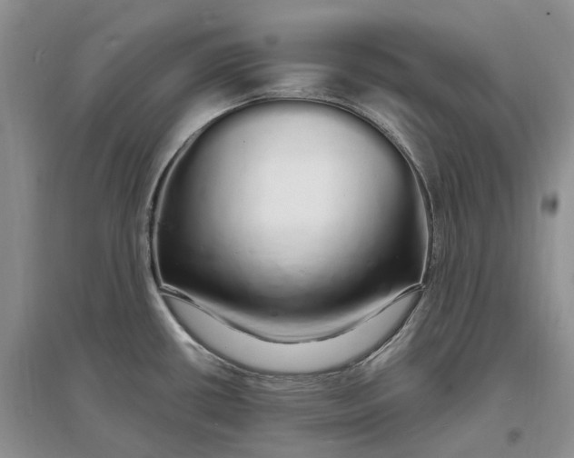 X0000097301434200802291804