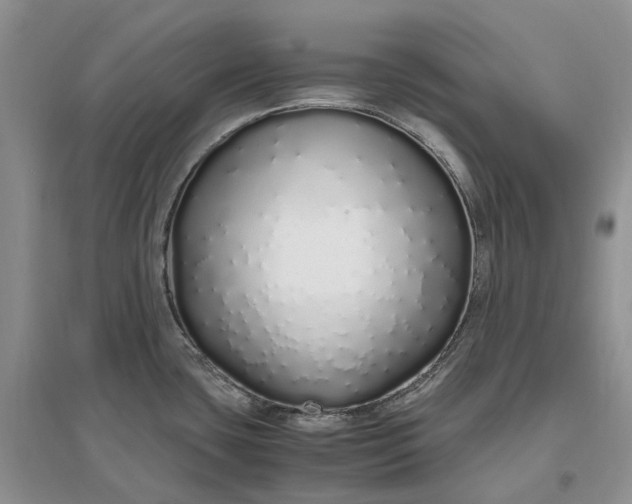 X0000097301435200802291804