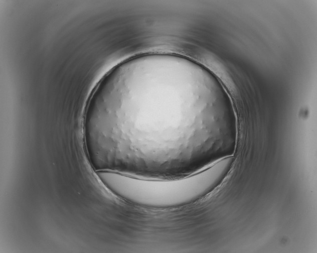 X0000097301436200802291804