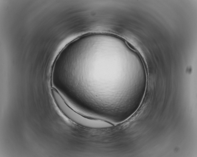 X0000097301437200802291804