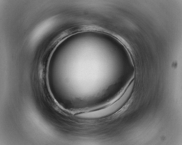 X0000097301438200802291804