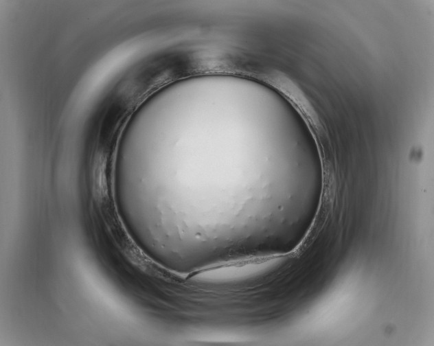 X0000097301439200802291804