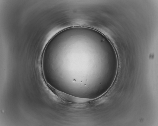 X0000097301440200802291804