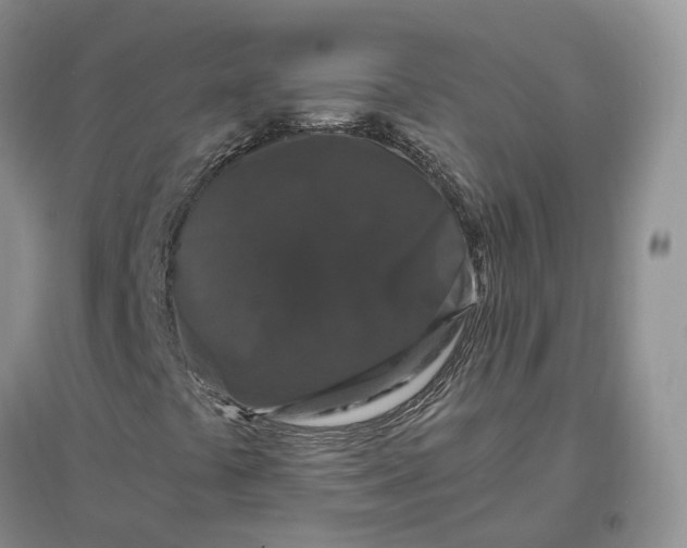 X0000097301441200802291803