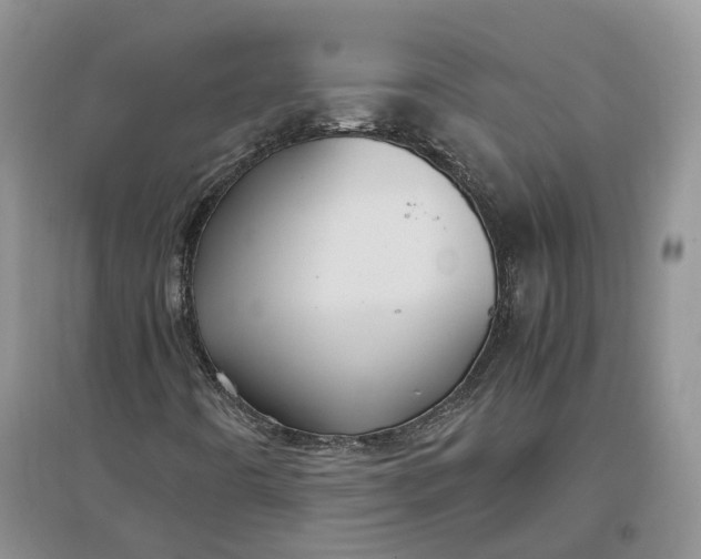 X0000097301442200802291803