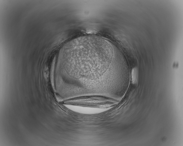 X0000097301443200802291803