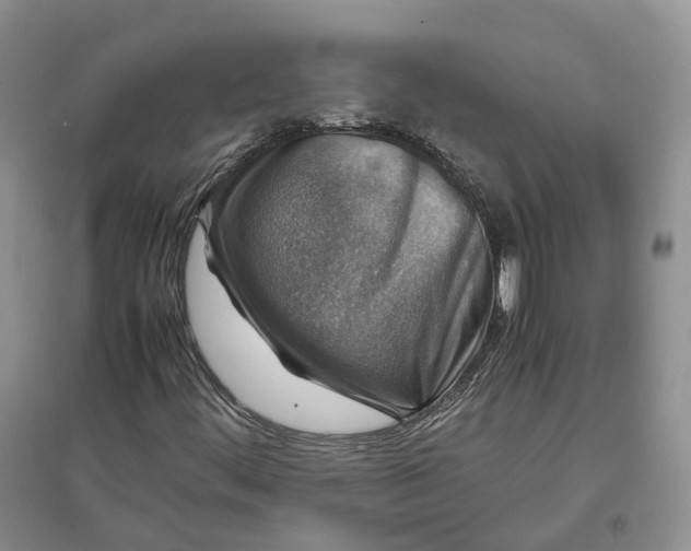 X0000097301444200802291803