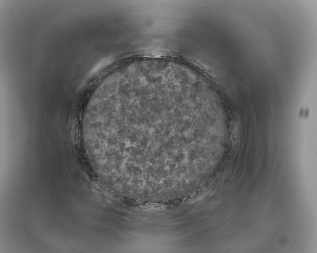 X0000097301446200802291803