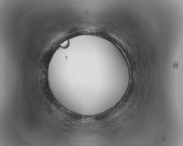 X0000097301447200802291803