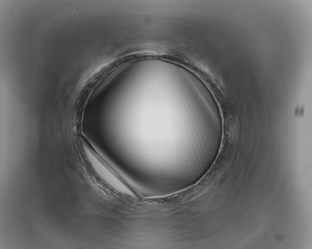 X0000097301448200802291803