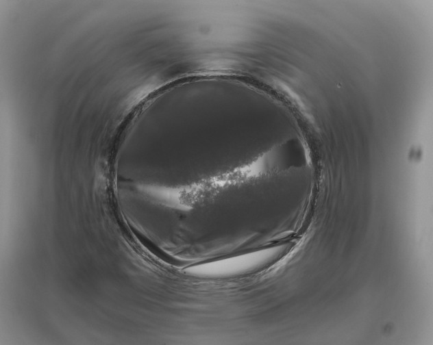 X0000097301449200802291803