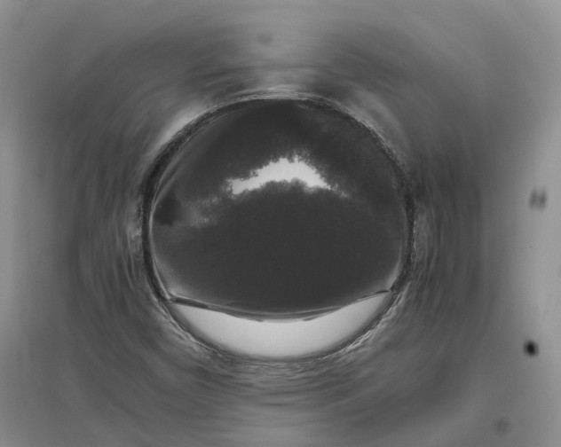 X0000097301450200802291803