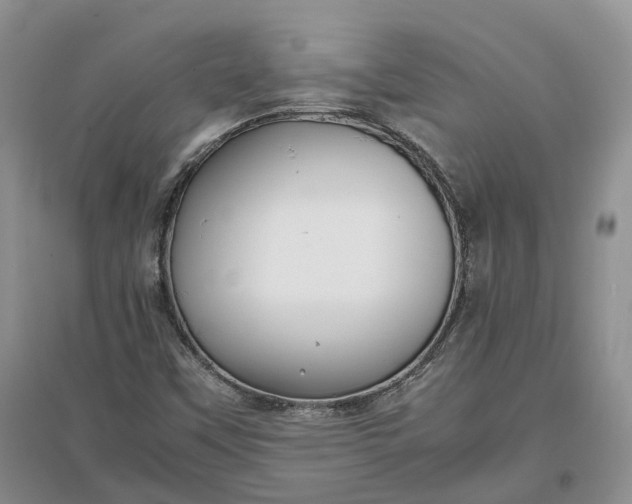 X0000097301451200802291803