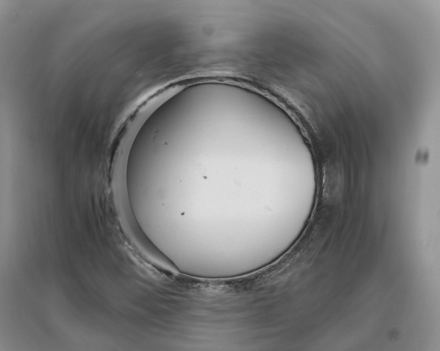 X0000097301452200802291803