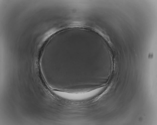 X0000097301453200802291803