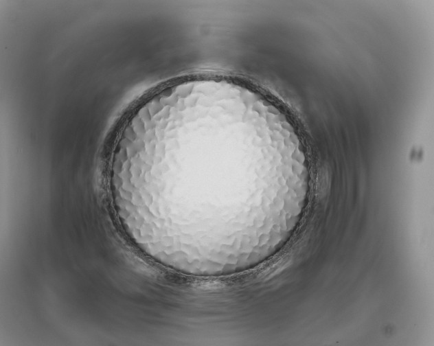 X0000097301454200802291803