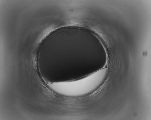 X0000097301455200802291803