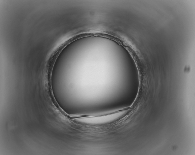 X0000097301456200802291803