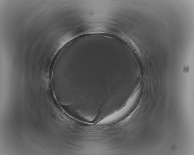 X0000097301457200802291803