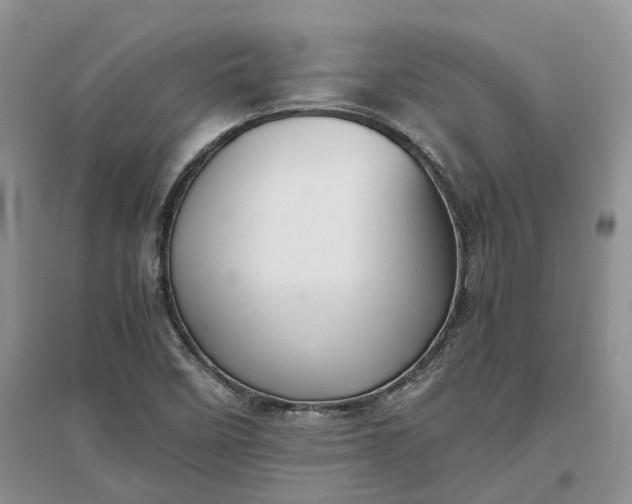 X0000097301458200802291803