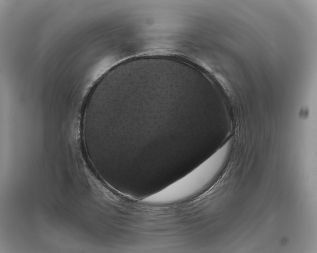 X0000097301459200802291803