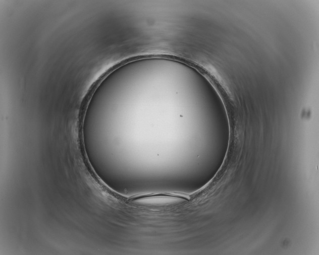 X0000097301460200802291803