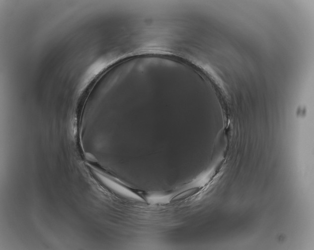 X0000097301461200802291803