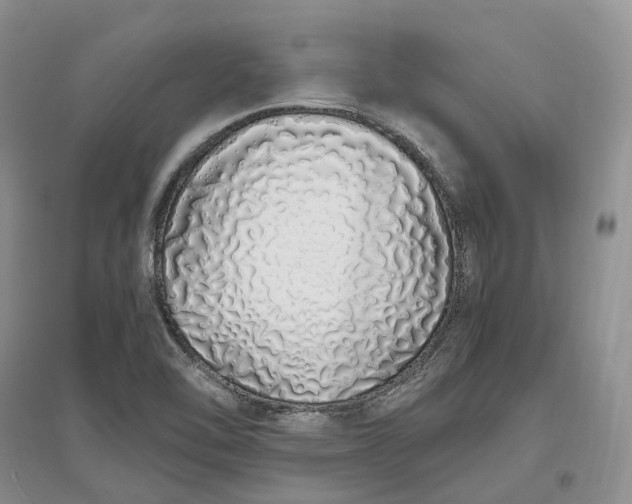 X0000097301462200802291803