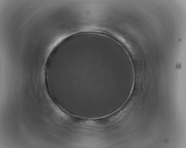 X0000097301463200802291803