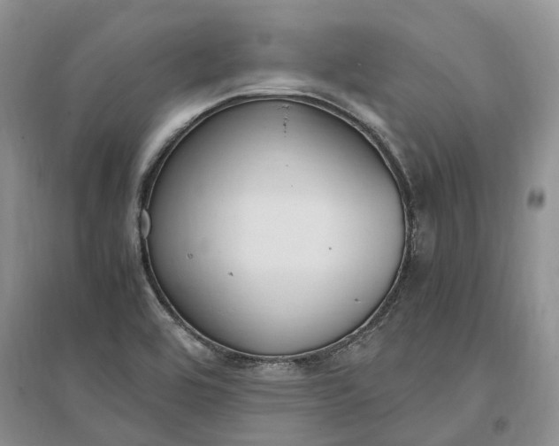 X0000097301464200802291803