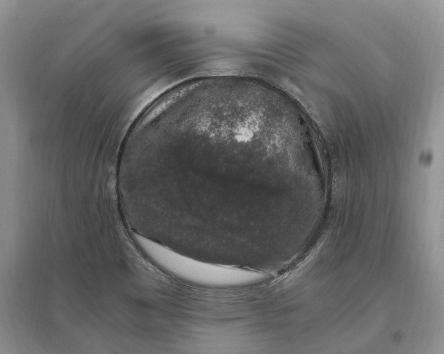 X0000097301465200802291803