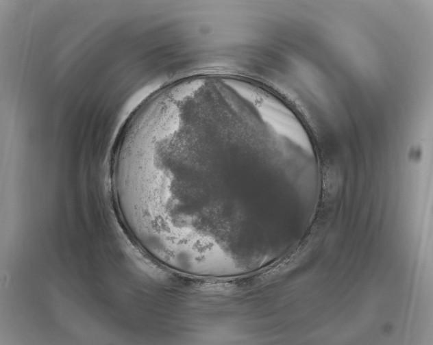 X0000097301466200802291803