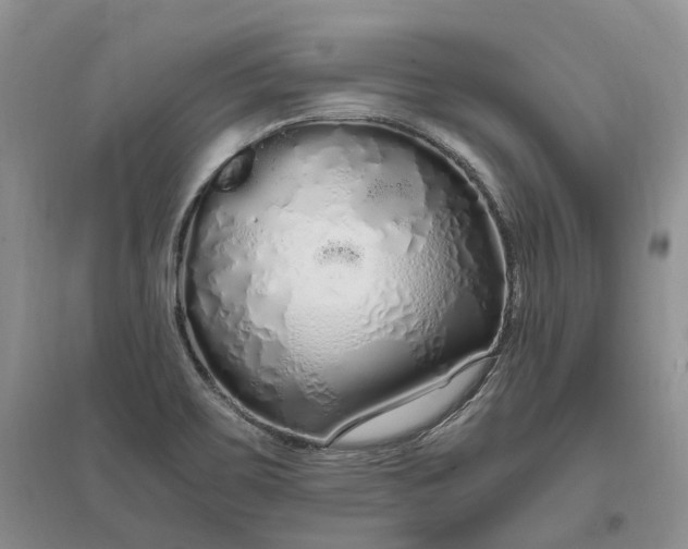 X0000097301467200802291803