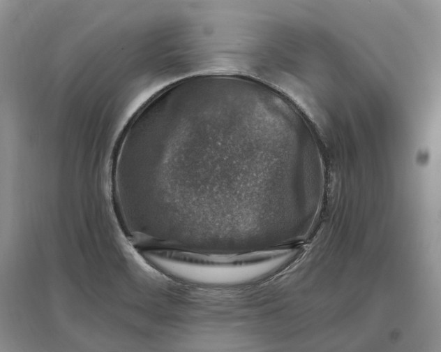 X0000097301468200802291803